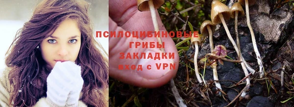 круглые Алексеевка