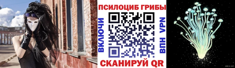 Купить закладки  Тихорецк  Псилоцибиновые грибы мицелий 